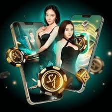 mmk6 Mobile APP Android iOS